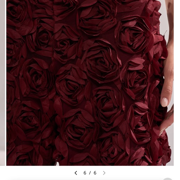 Rose Petals Wide-leg Trouser - Burgundy - Picture 6 of 6